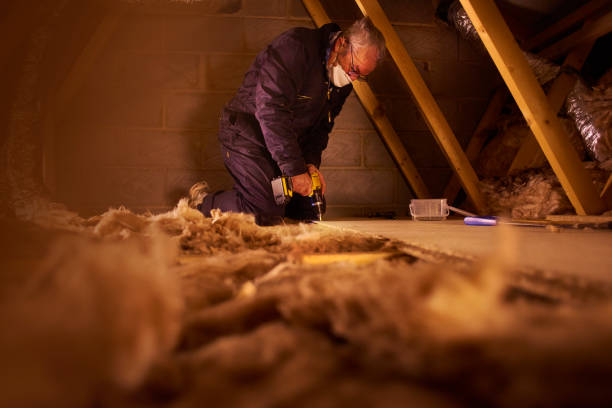 Best Insulation Maintenance and Repair in Whitehall, OH